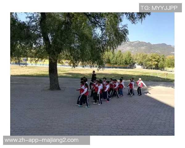 泰山与萨博的巅峰对决探讨两者在文化与体育领域的深远影响